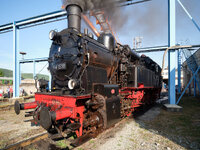G10D8590.jpg
