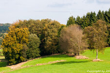 DSLR_Forum-2708.jpg