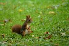 comp_DSC_1177.jpg