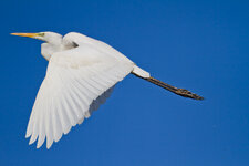 IMG_3963.JPG