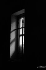 comp_TS1D5973_DxO .jpg