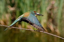 comp_05_P1220357_DXOa.jpg