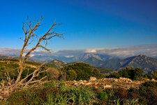 IMG_8675.jpg