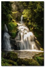 comp_DSC07374.jpg