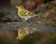 1DX_6455-klein.jpg