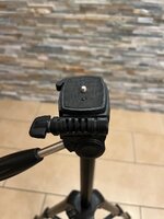 IMG_3597.jpeg