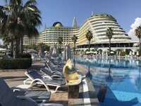 IMG_1166.jpeg