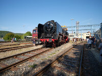 G10D8775.jpg