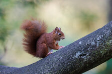 20241005-IMG_4579-bg.jpg
