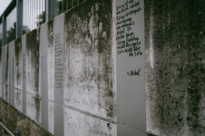 NZ6_0192.jpg