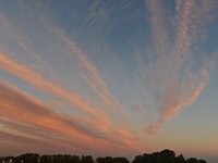 IMG_20241007_071721.jpg