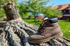 PXL_20240502 Schuh OV Ryckseite 2024 1920.jpg