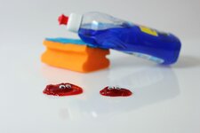 comp_IMG_8697.jpg