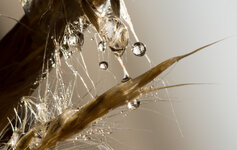 20130401-DSC03696.jpg