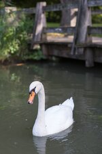 1 (4).jpg