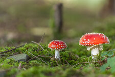 2013.10.13 09-58-31 4.jpg