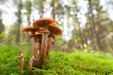 2013.10.14 15-03-07 8426.jpg