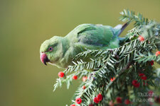 20131018-IMG_2728.jpg