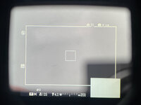 IMG_0609.jpeg