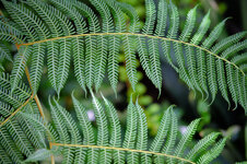 230518-DSCF8664.jpg