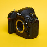 Nikon D850_6.jpg