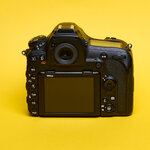 Nikon D850_10.jpg