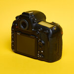 Nikon D850_11.jpg