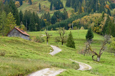 PANA1187_Nik_DxO.jpg