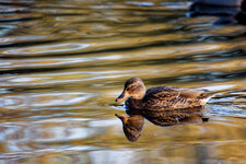 BQ4A5608_1500_1.jpg BQ4A5608_1500_1.jpg