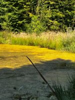 IMG_2059 (1).jpeg
