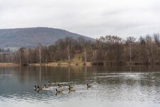 20230312-20230312-DSC05069.jpg