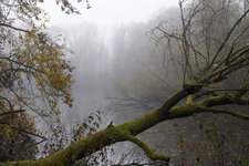 20241109-1659-PANA2482-3000.jpg