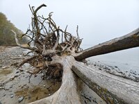 IMG_20241110_081733.jpg