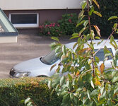 ohneIS_Zuiko_14-42mm_3.5-5.6.jpg