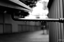 comp_TS1D5903_DxO .jpg
