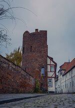 IMG_2736.jpg