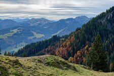 PANA1227_Nik_DxO.jpg