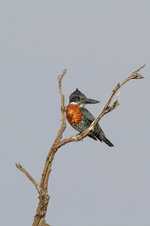 20130413_1534_south_africa-3.jpg
