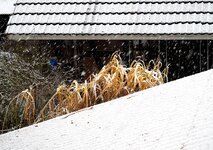 schnee.jpg