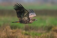 20241119_Sonstiges_SP_0138-Verbessert-RR-Bearbeitet-2-2.jpg