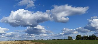 IMG_20230923_161929.jpg