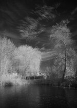 DSC00923.jpg
