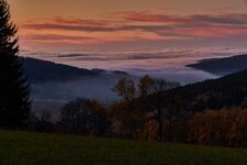 R5A_3965.jpg