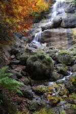 PANA1293_Nik_DxO.jpg
