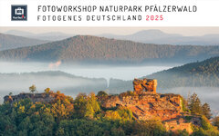 Teaser Fotoworkshop Pfälzerwald 2025.jpg