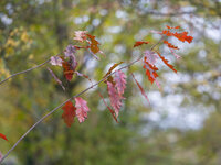 20241110-DSCF0272.jpg