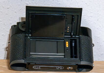 L1000256-Verbessert-RR.jpg