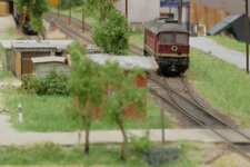IMG_7922.JPG