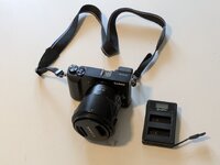 PXL_20241221_112047223.jpg
