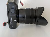 PXL_20241220_140229550.jpg